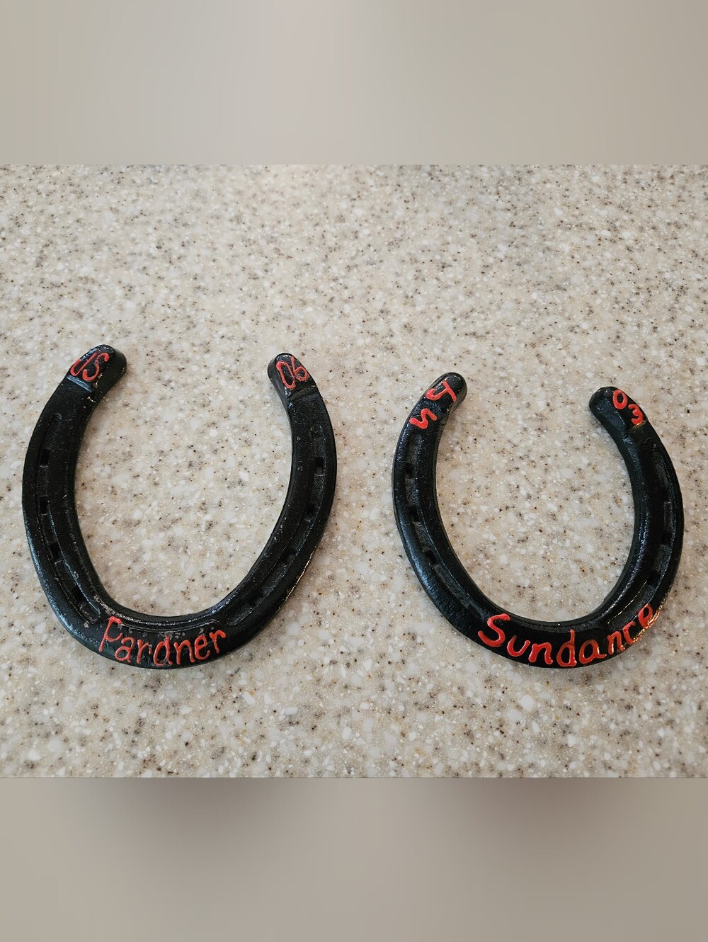2 Black Horse Shoes With Horse Names